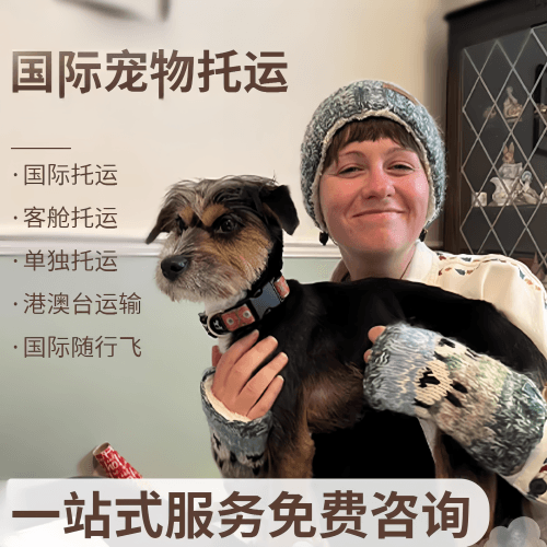 汉中市国际宠物托运到阿根廷宠物入境规定和要