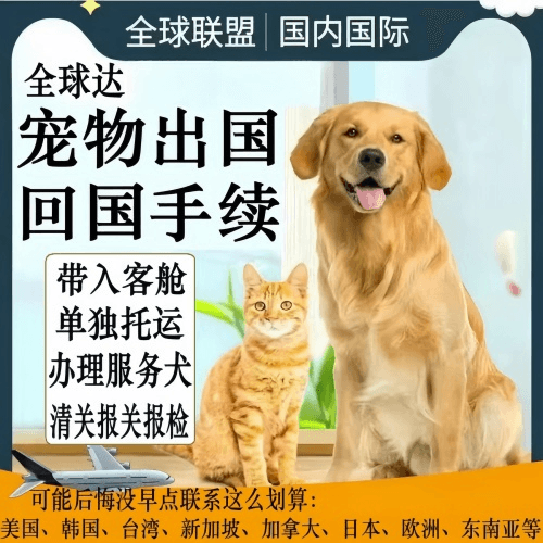 汉中市宠物托运到柬埔寨宠物入境规定和要求