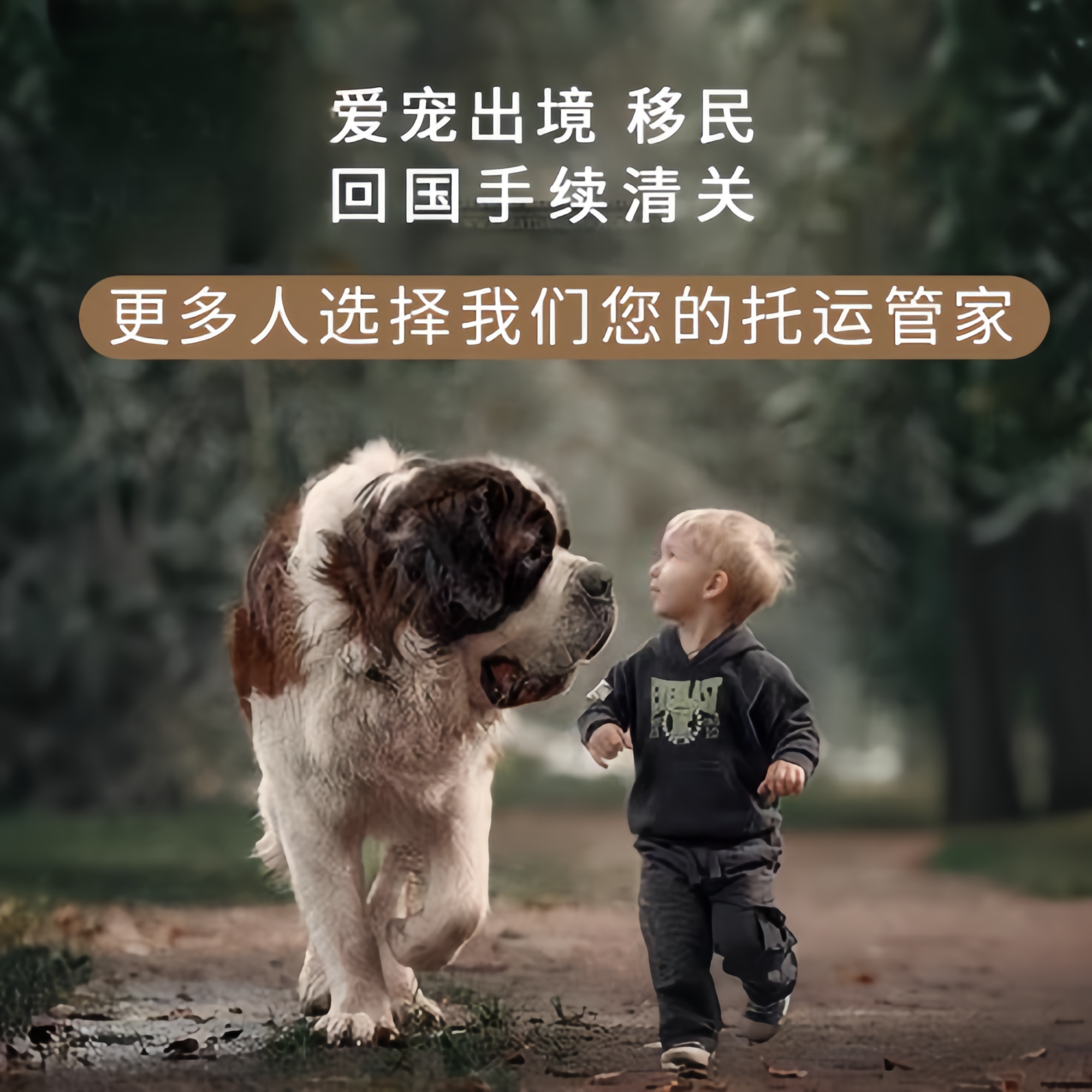 满财汉中市宠物全球达宠物托运在遵守入境目的地政策的条件